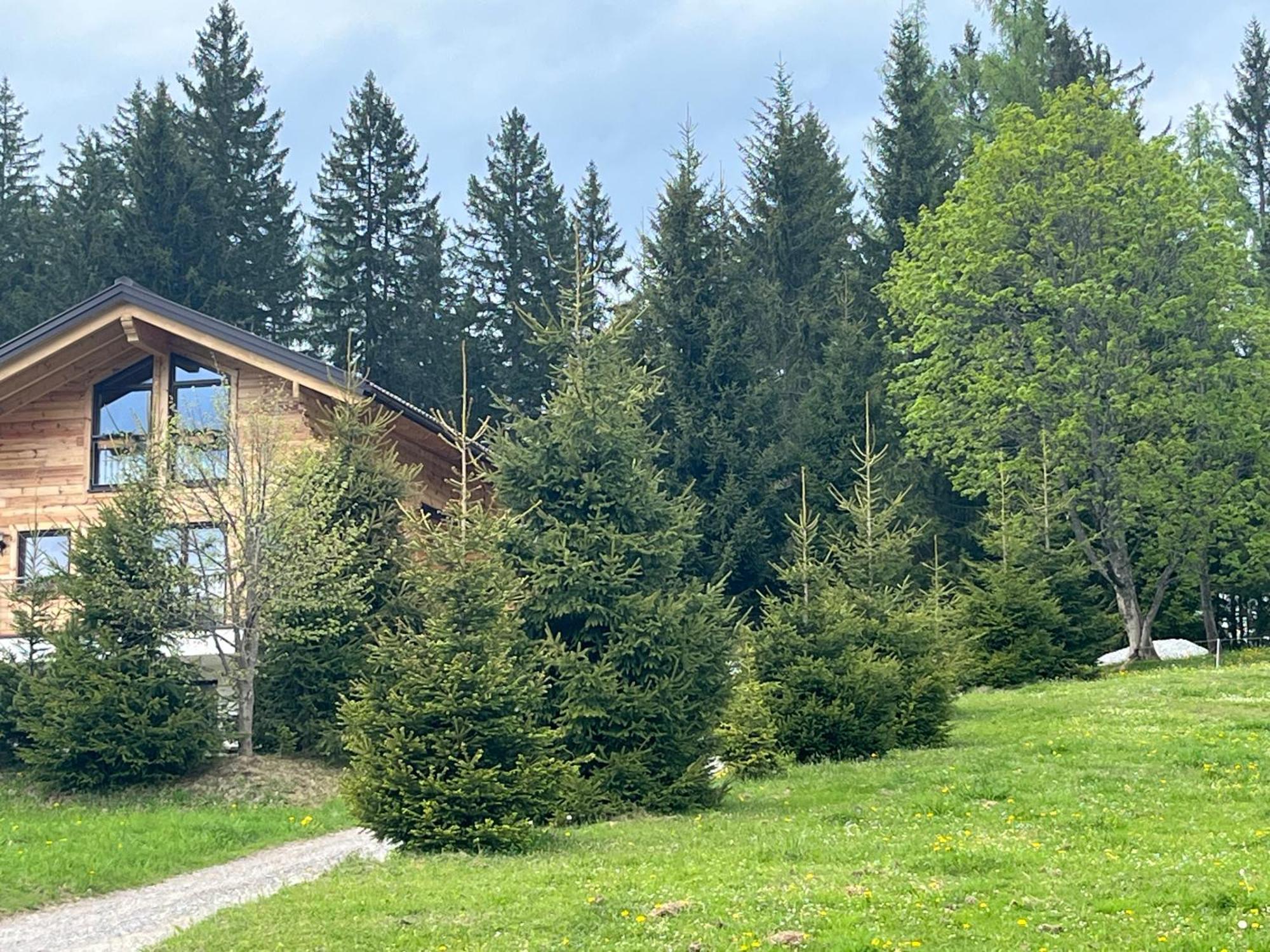 Chalet Bergheimat ヴァークライン エクステリア 写真